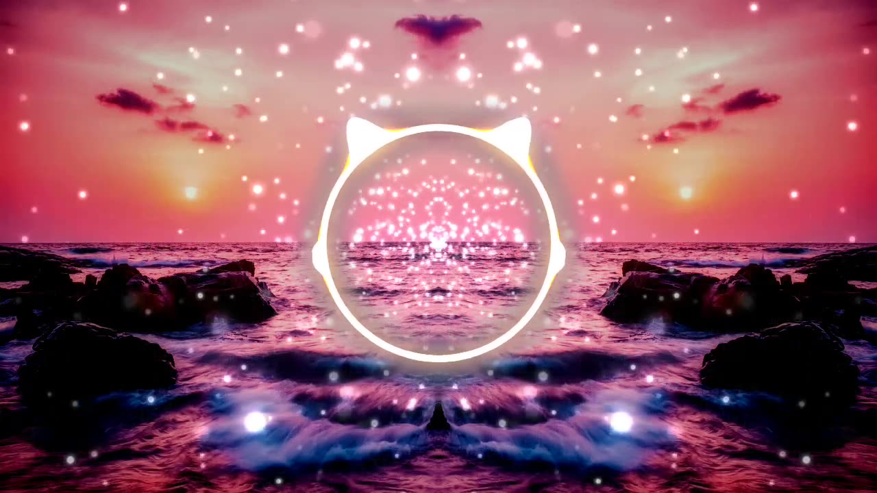 Searching for Peace