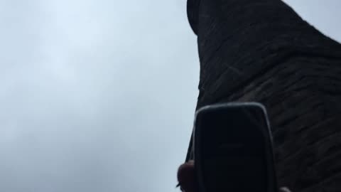 Nokia 3310 In a BigMac - Drop Test 100ft #trending