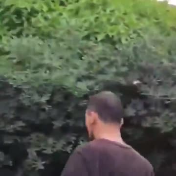 What would you do if an immigrant attacked your child?