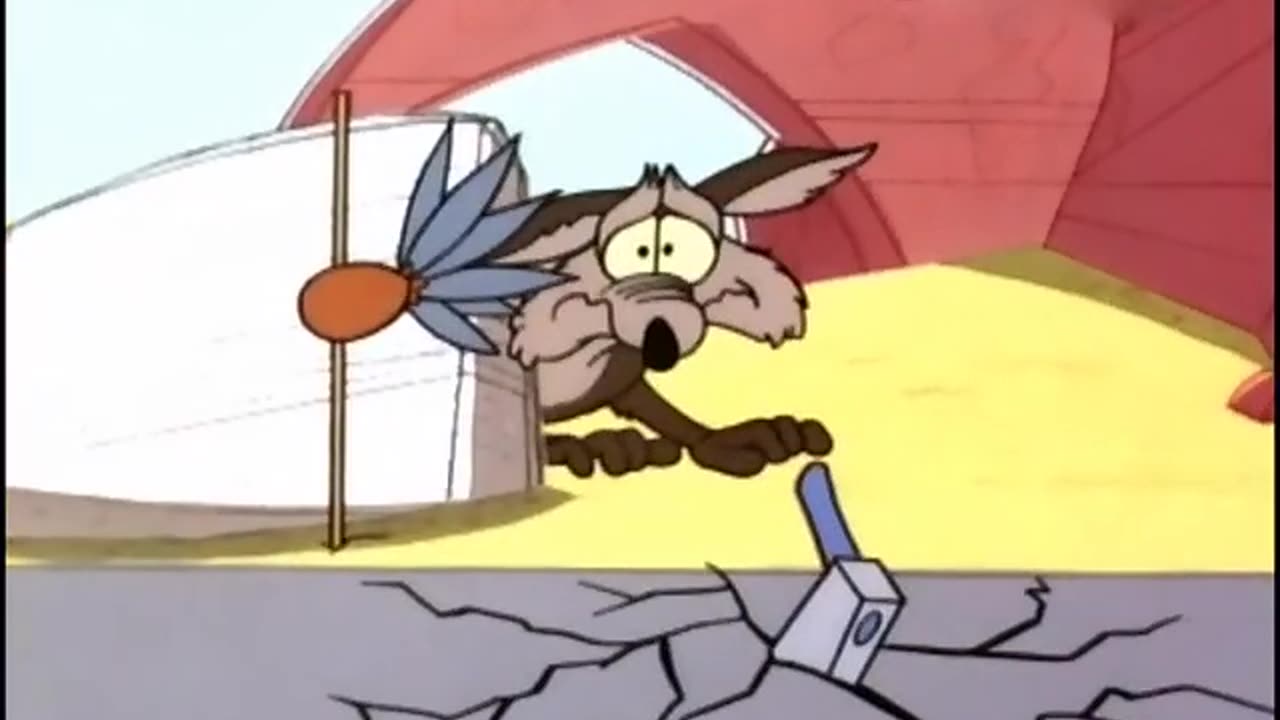 Wile E. Coyote And Road Runner - (Ep. 30) - Run, Run, Sweet Road Runner