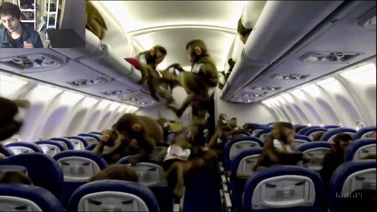 Outtake #1,114 Of Over 5 Monkeys Roam Around An Airplane Fake Funny Parody Video