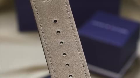 Tommy Hilfiger Men's Watch 1791308