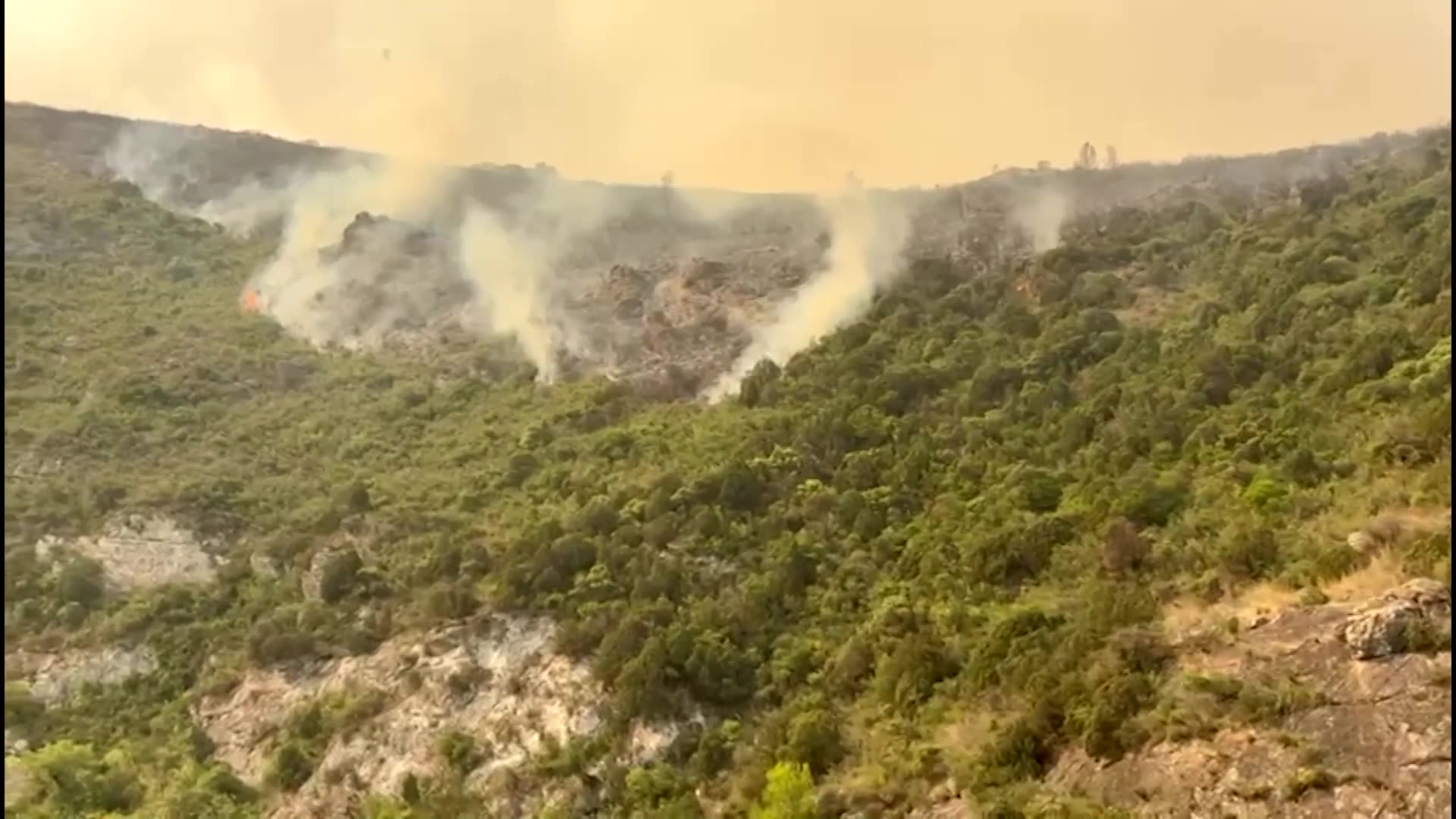 Firefighters battle biggest wildfire of the year in southern France