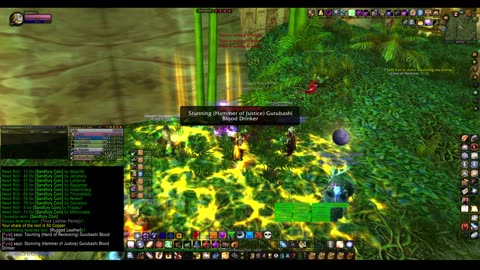 Turtle Wow - PUG ZG run - paladin POV