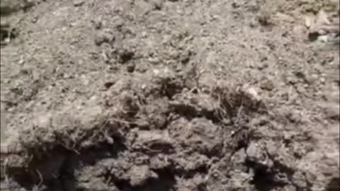 💥🛸 Ukraine Russia War | Ukrainian Drone-Delivered Improvised Shaped-Charge Devices in Action | RCF