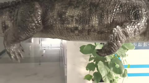 💡👀 You Won’t Believe How Easy This Is! | LifeHacksDaily