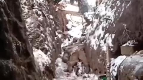 Pig slaughter in Chasov Yar