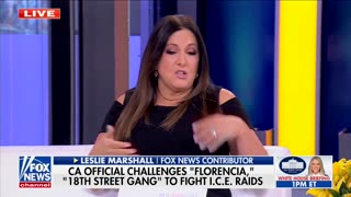 Harris Faulkner Smacks Down Dem Panelist Who Claims ICE Isn't Going After 'Worst Of The Worst'