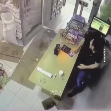 Getting pranked by the neighborhood cat