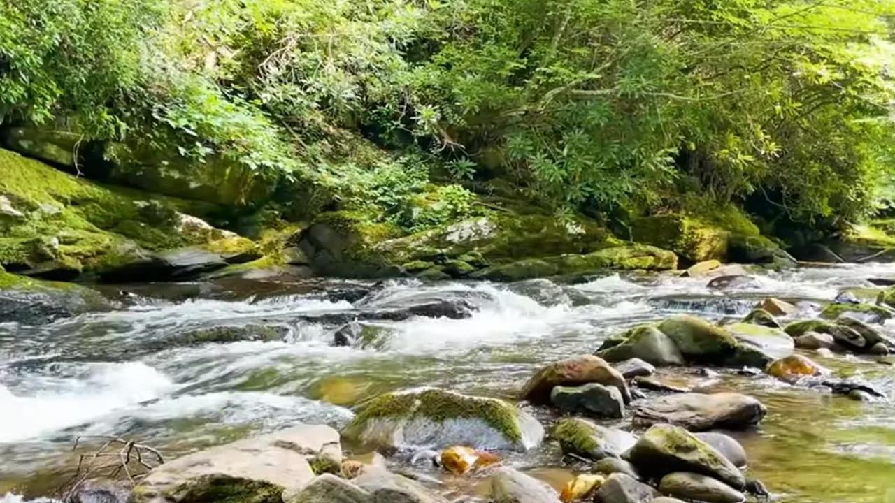 Justin Johnson - Quoth The River