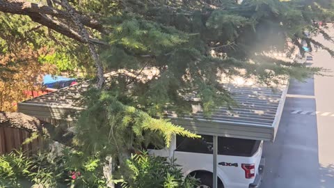 Strangers Caught In Sexual Interaction Outside Apartment Complex
