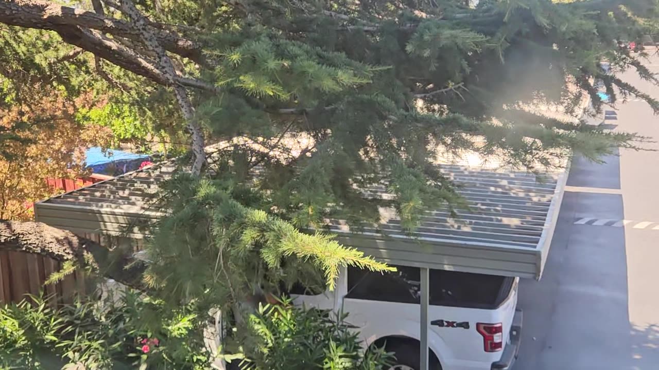 Strangers Caught In Sexual Interaction Outside Apartment Complex