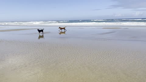 fun at the beach 2390842309842098