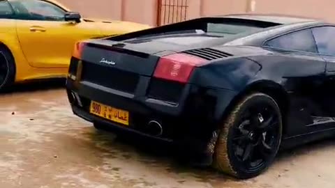 ✨🏎️ Unravel the Charm of Luxury Cars in Action! | LuxurySportsCars