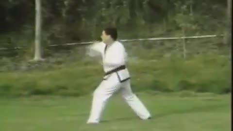 The 23 Tang Soo Do Hyungs From White Belt To 3rd Degree Black Belt