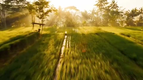 Top 🔝 HD 👌 Video 📸