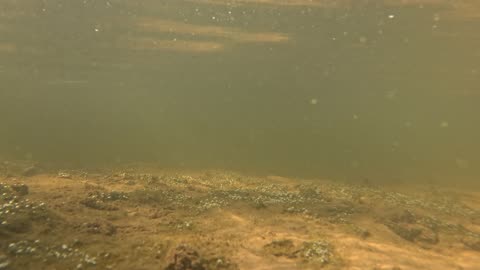 A small underwater video