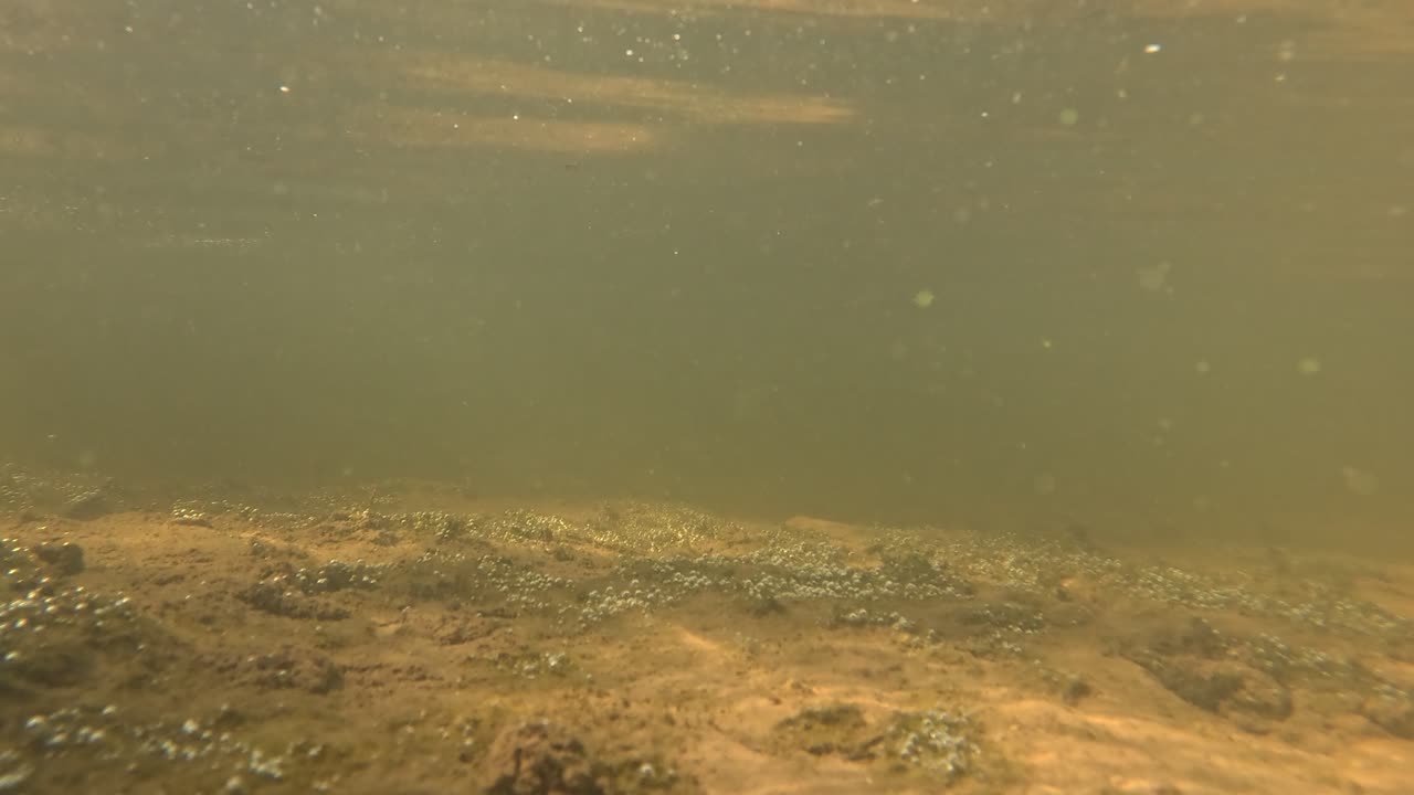 A small underwater video