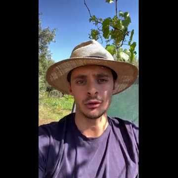 Bill Gates e le sue grandi manovre filantropiche.