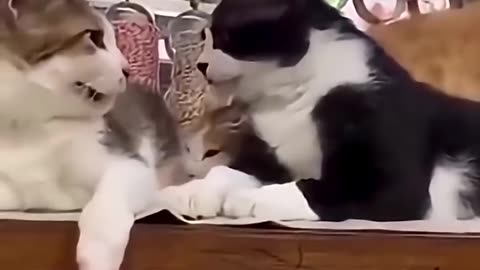 Don’t kiss my girl