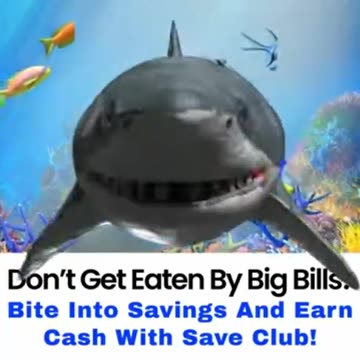 Save Club savings & discounts - Don't get eaten by big bills ! (shark 001) Top Team Rob Buser