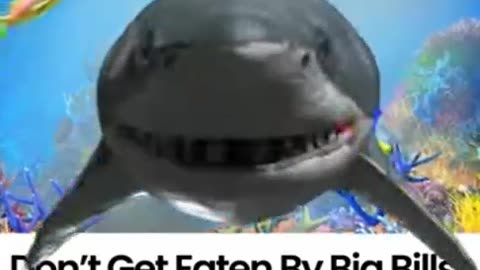 Save Club savings & discounts - Don't get eaten by big bills ! (shark 001) Top Team Rob Buser