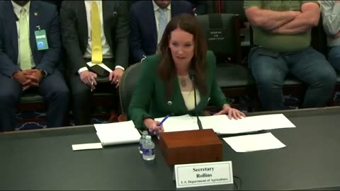 Sec Rollins opens her testimony before the House Appropriations Committee