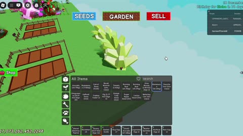 Grow a garden world record Romanesco fruit