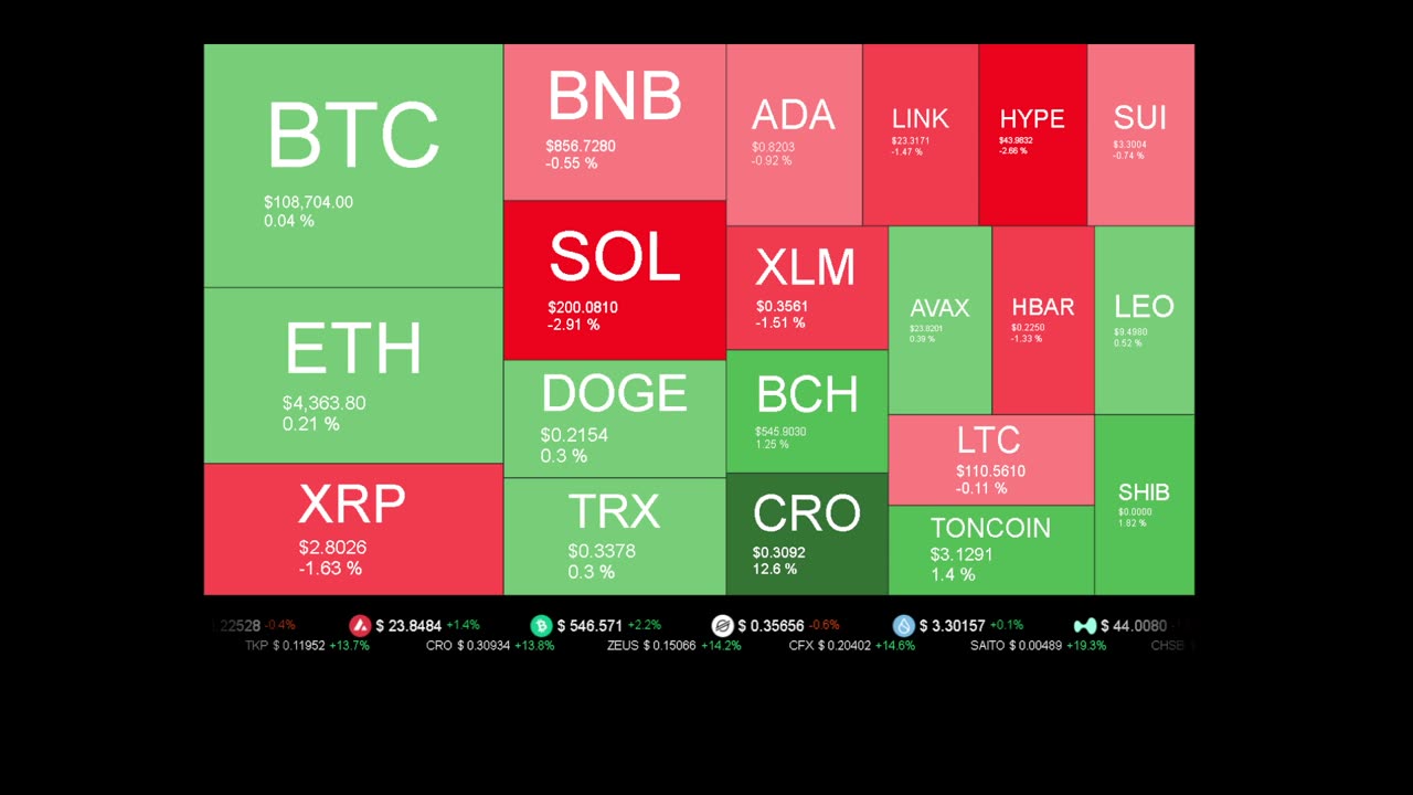 Live Coin Price Watch!