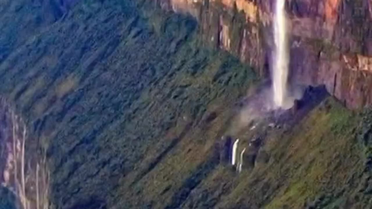 Trees can naturally pull up water from underground streams