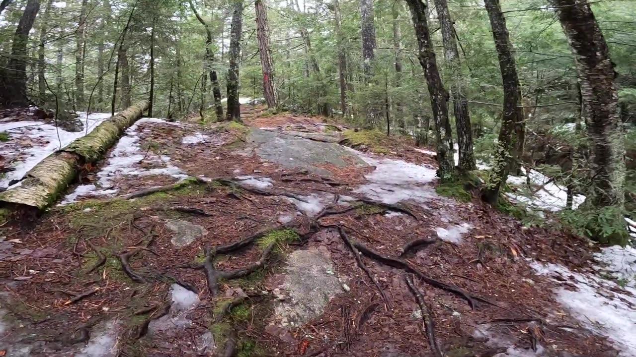 Take a Hike