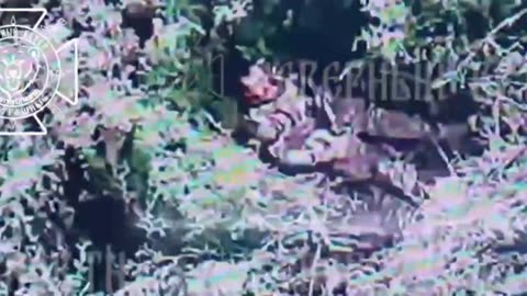 Ukraine war combat footage 8/15/25