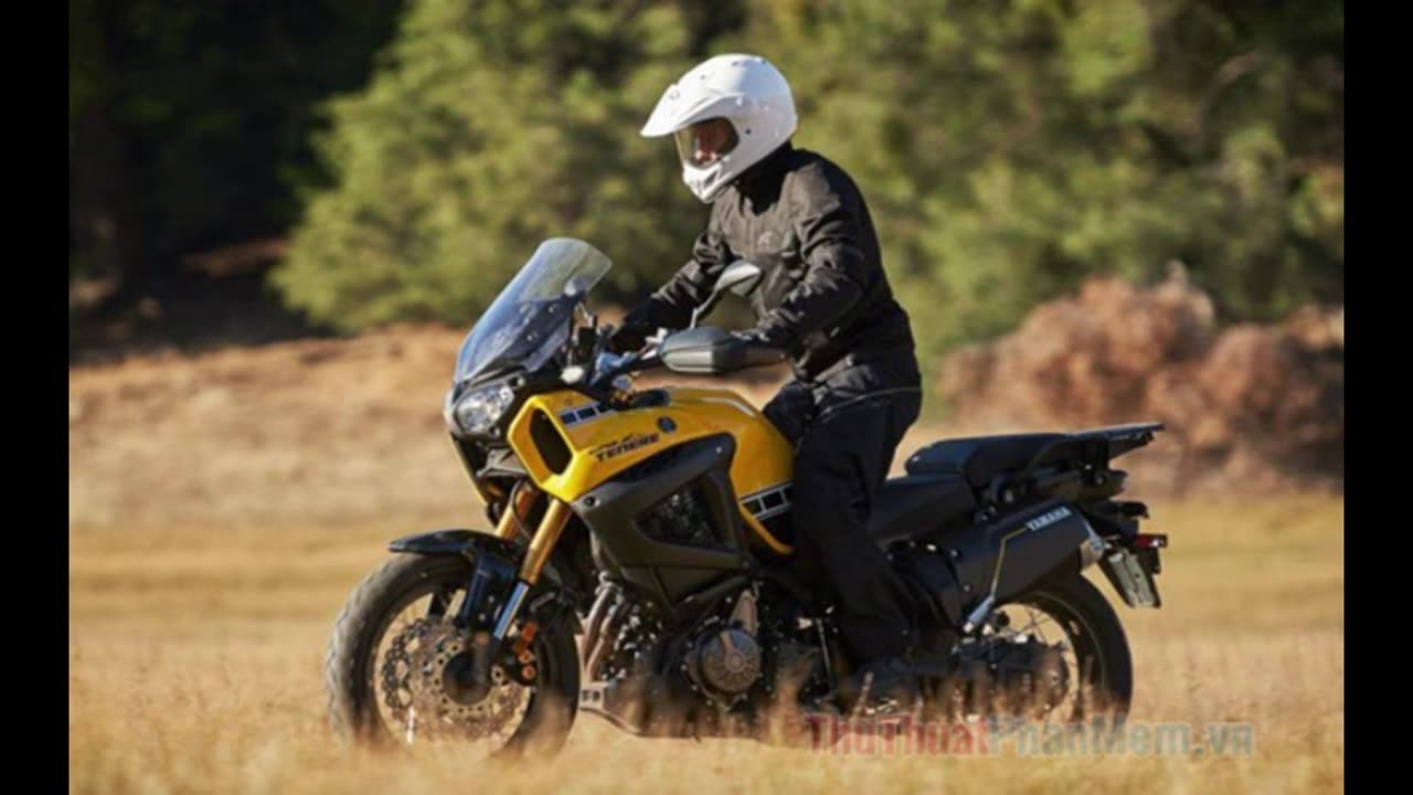 Frozen Realm | Silent Warriors | Fire Reborn