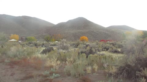 A Place For Horses. October 27, 2025.