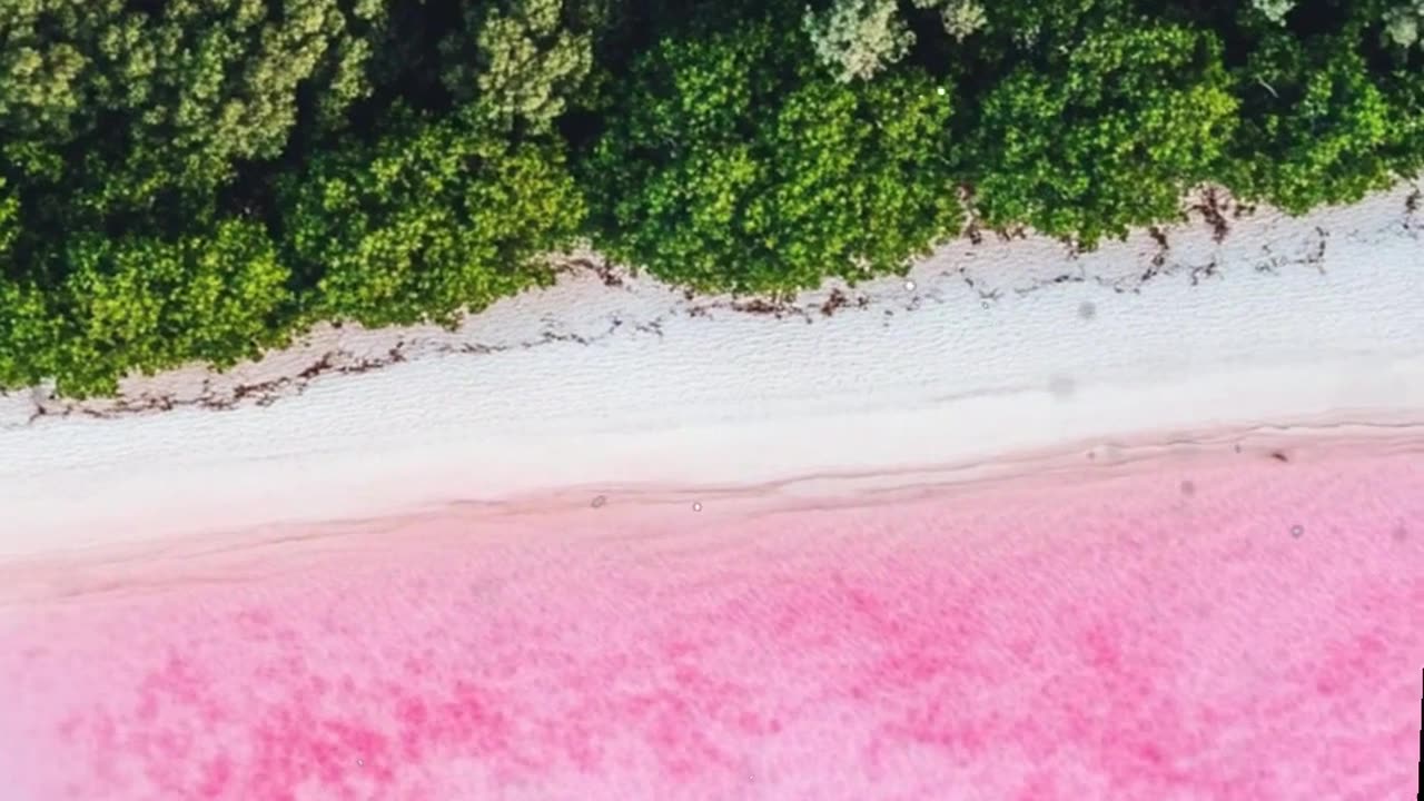Discover Australia's Bubblegum Pink Lake! 🌸🏞️