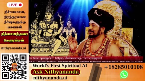 Absorb spiritual teachings during live darshans led by SPH Bhagavan Sri Nithyananda Paramashivam.