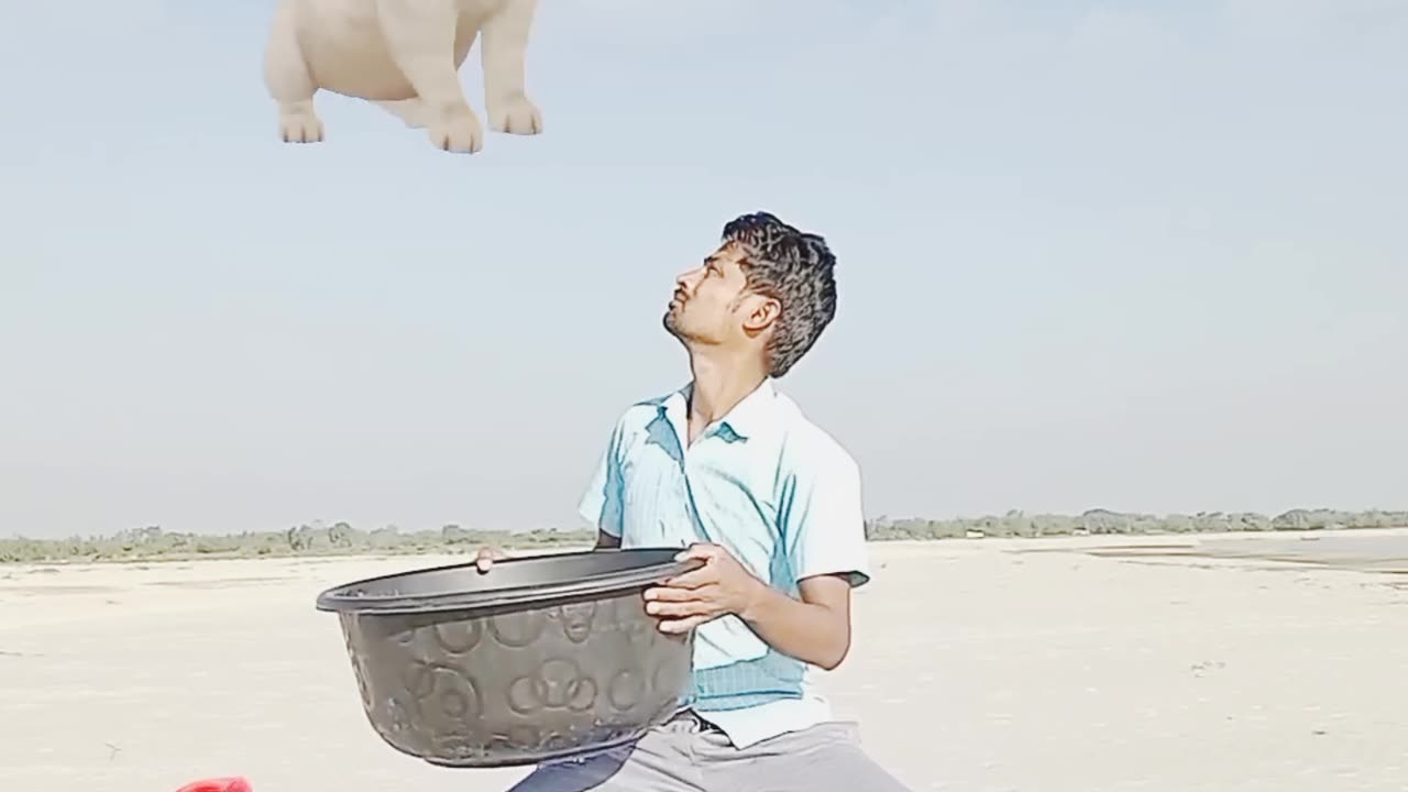 Crying Flying babies catching vs cat & puppy - Funny magic vfx video 😀😀😀