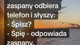 Sesja