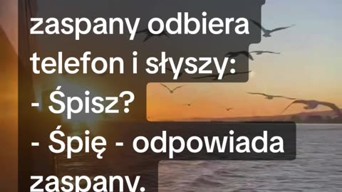 Sesja