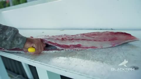 Topwater Fishing for Huge Cobia on Commercial Shrimp Boats_part6
