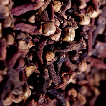 Health Benefits of Cloves | Tiny Spice, Big Power!