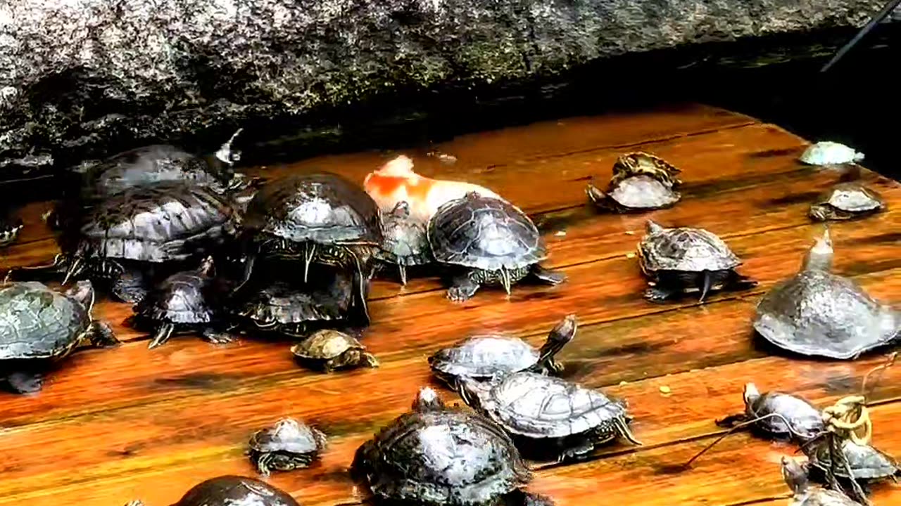 I'll just lie here with you for a while, okay?