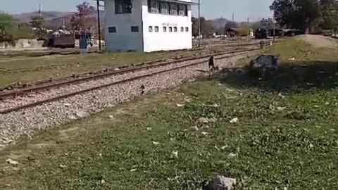 Taxila Cantt Station Train Pk Railway Station