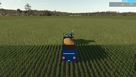 FS25 Straw and Grapes