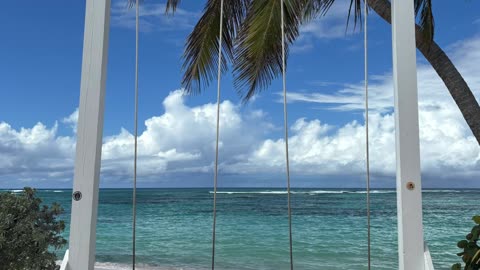 Palapas, Anegada Beach Club and Beach Bar Hopping! Flamingo and Conch Shell lookout