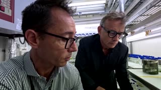 Can algae bioreactors replace oil? Sydney firm makes the case