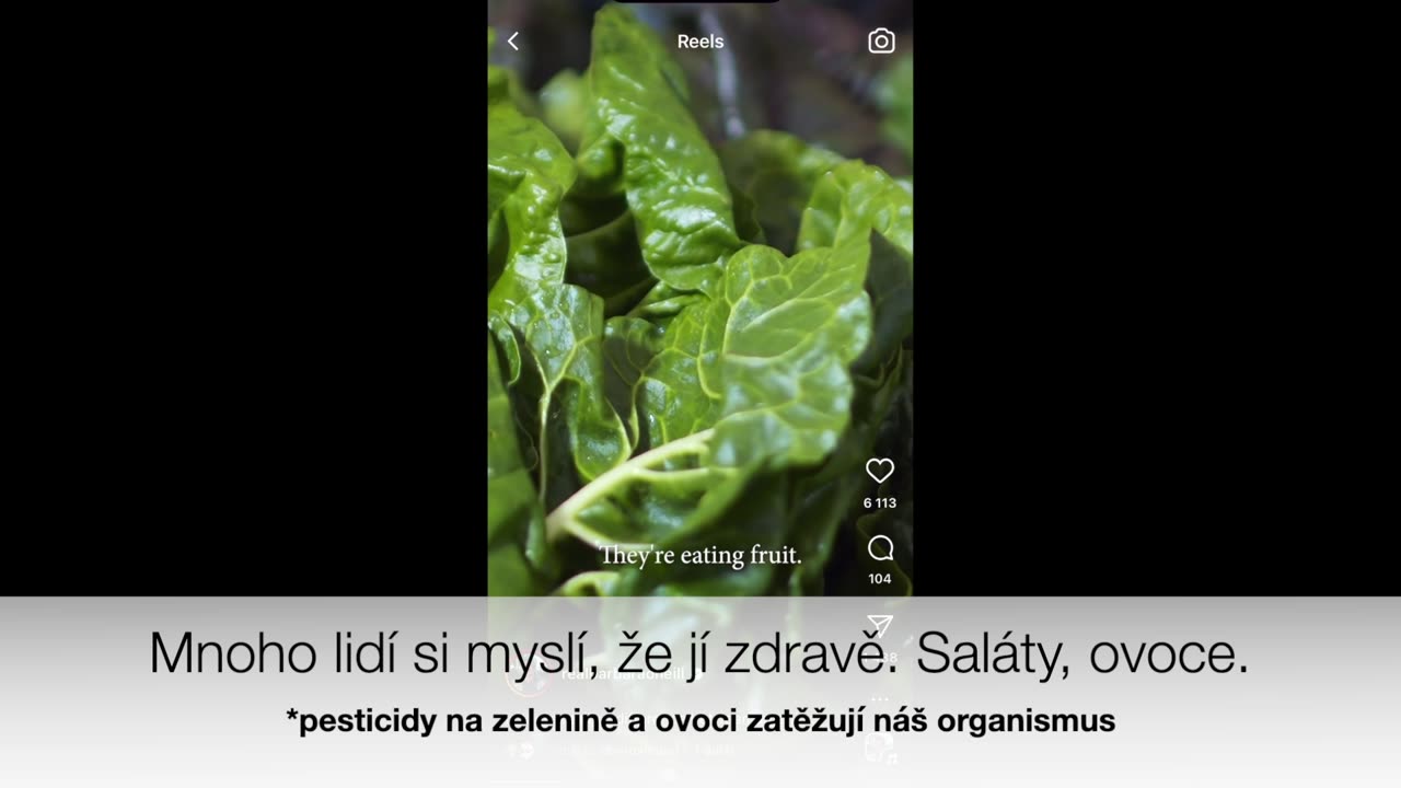 Bio potraviny jsou výživnější