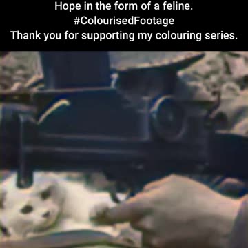 WWII British Soldier and Cat Wartime Bond #WWIIColourised