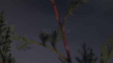 🙏✨ Saturday Prayer | Embrace Peace & Praise God Today | InGodWeTrustDaily