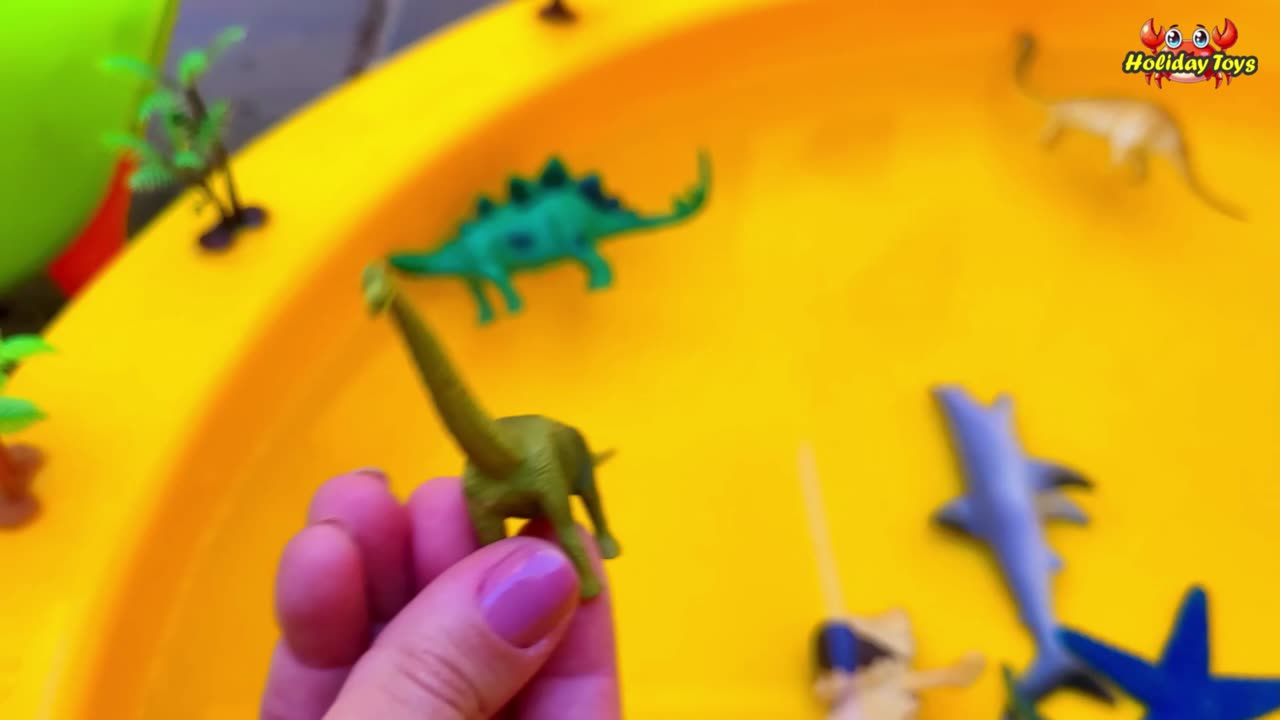 Humming Bird Looking For Nectar on Sunflowers in the Garden